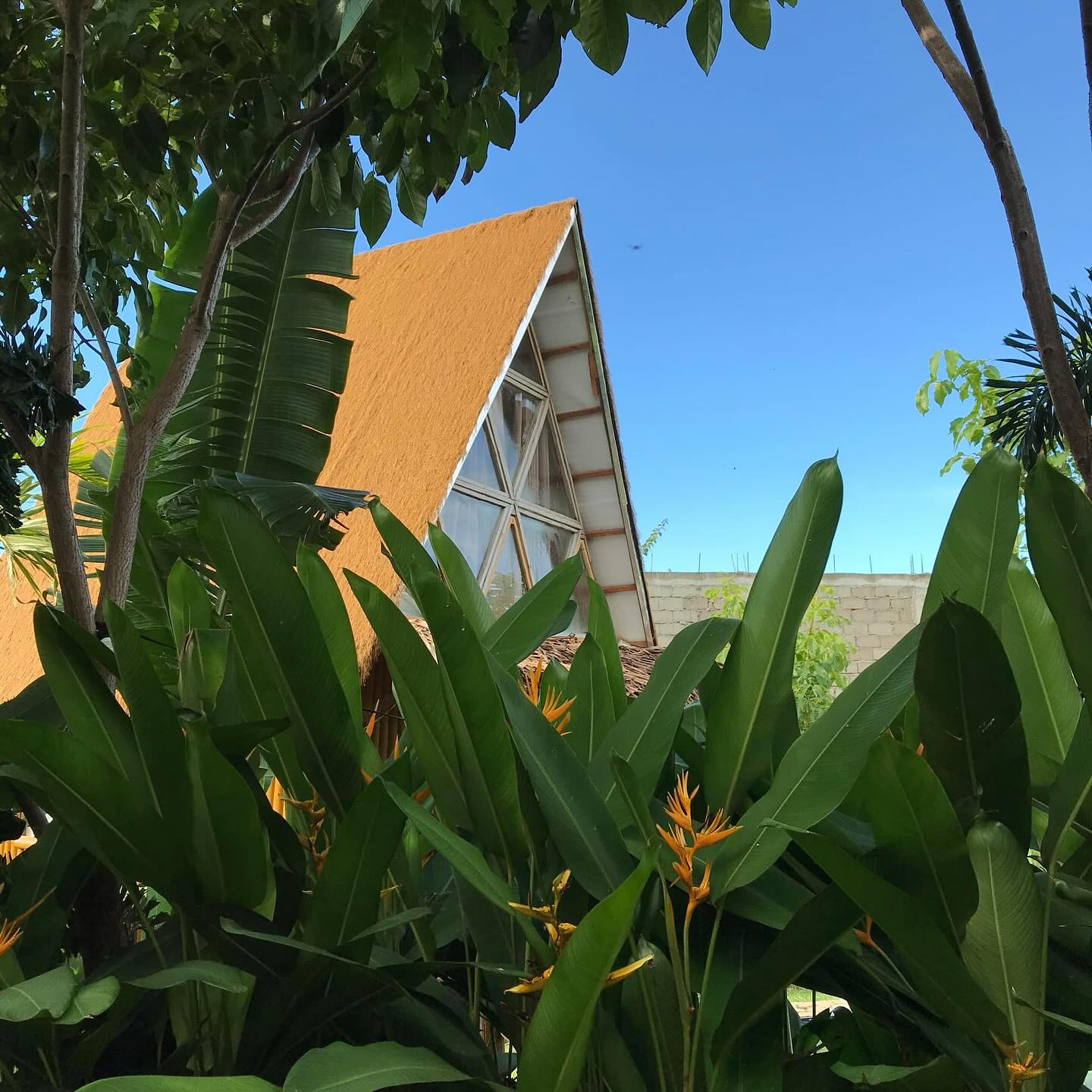 Villa view